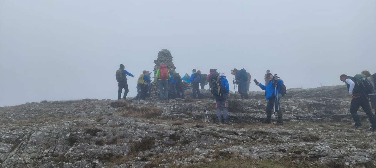 WhatsApp Image 2026-02-10 at 14.47.44 (2)